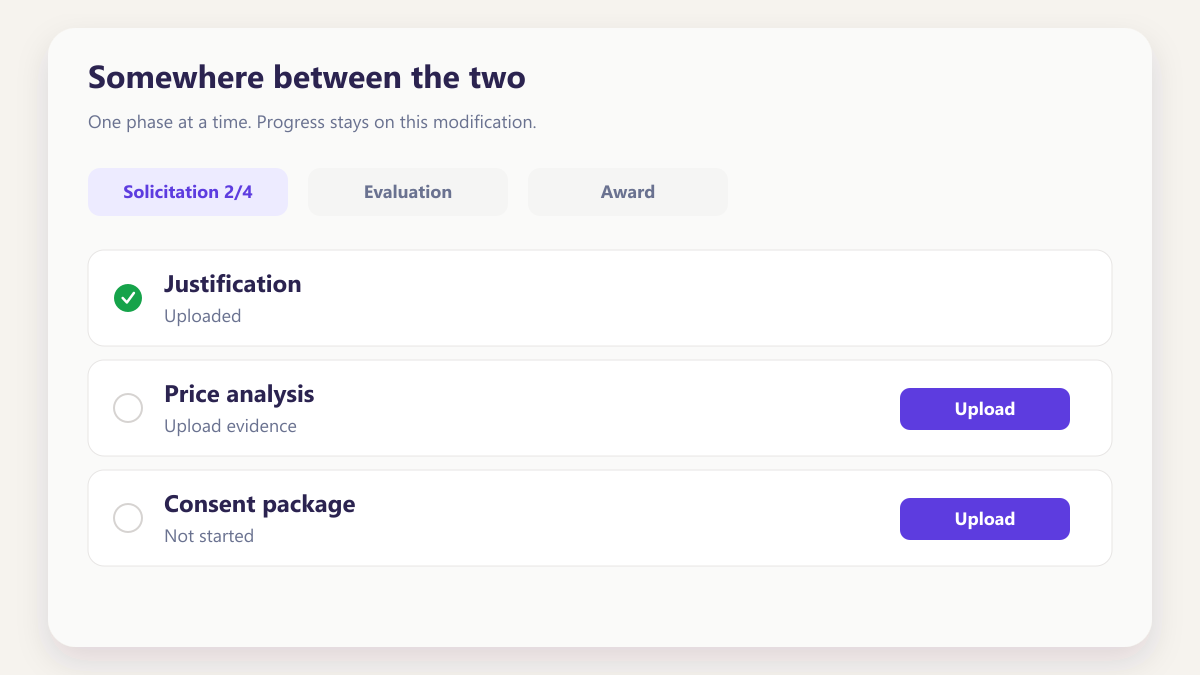 ProcureAudit Somewhere between the two
